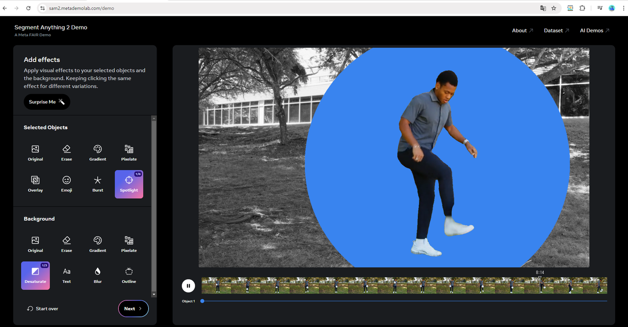 page thumbnail