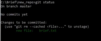 Git 저장소 내부 구조와 직접 생성 원리 image 32