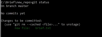 Git 저장소 내부 구조와 직접 생성 원리 image 26