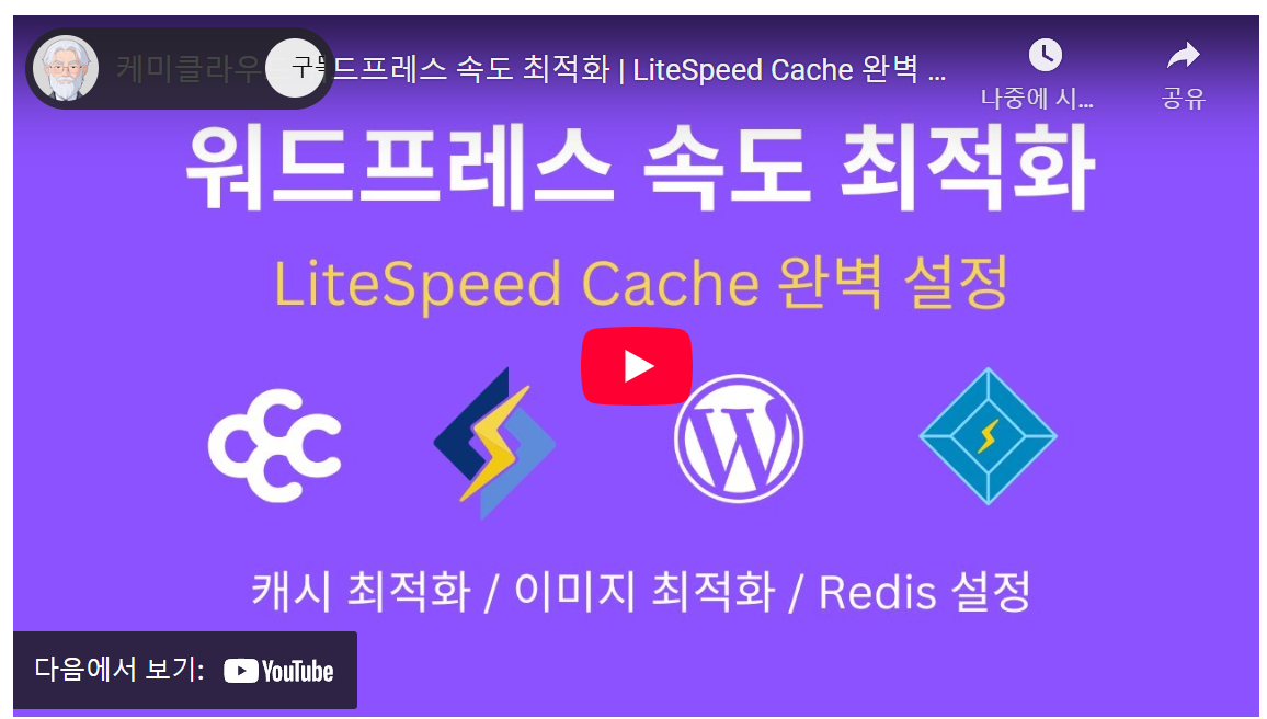 워드프레스 초보, 3분 만에 웹사이트 2배 속도 UP! LiteSpeed Cache 설정 꿀팁 image 1