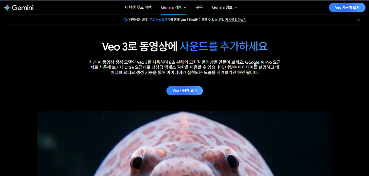 AI 동영상 생성 3대 플랫폼 완벽 가이드: Kling vs Hailuo AI vs Google Veo 3 (2025년 9월 최신) image 5