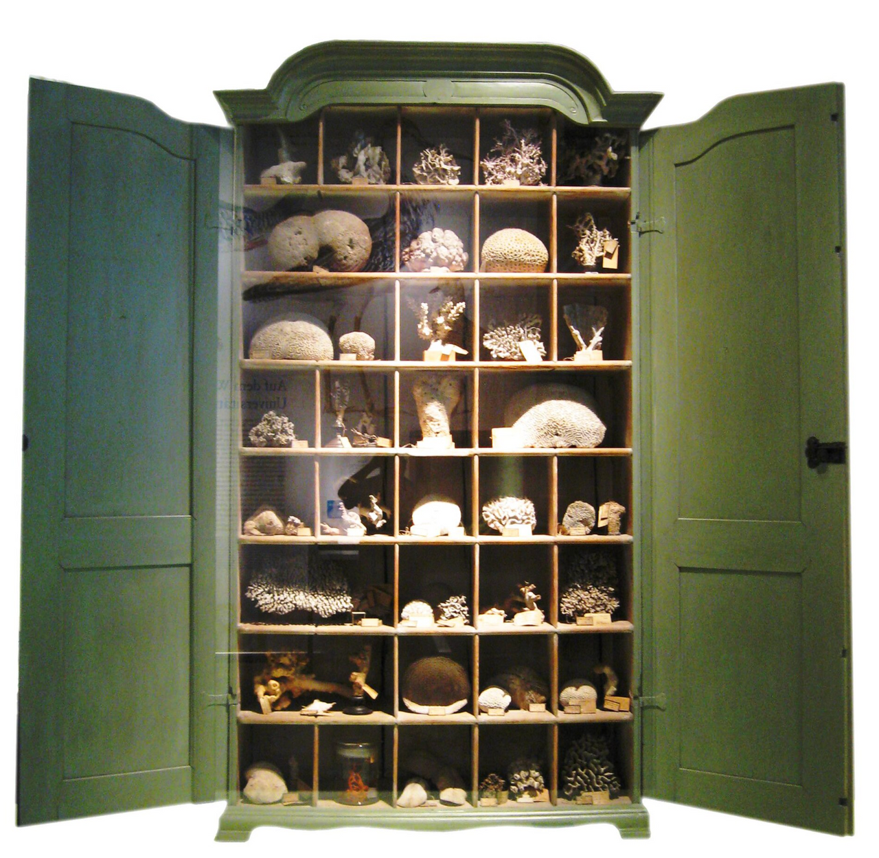 호기심의 방(Cabinet of curiosities)(Wunderkammeren) image 2