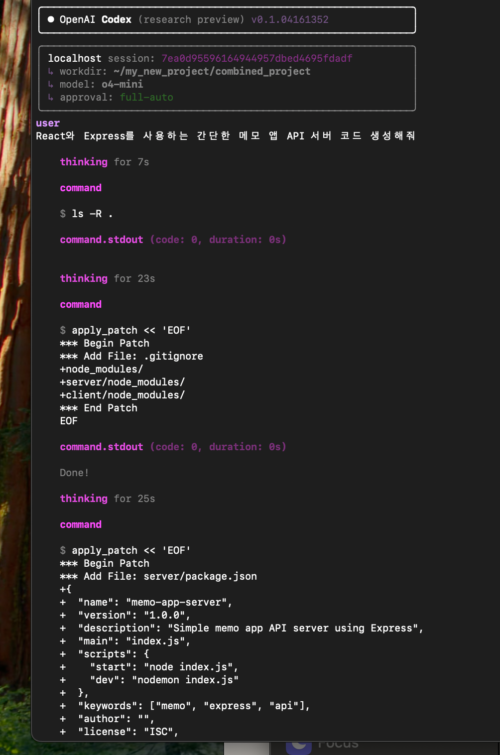 OpenAI Codex CLI와 Google 개발자 환경 구축하기 image 17