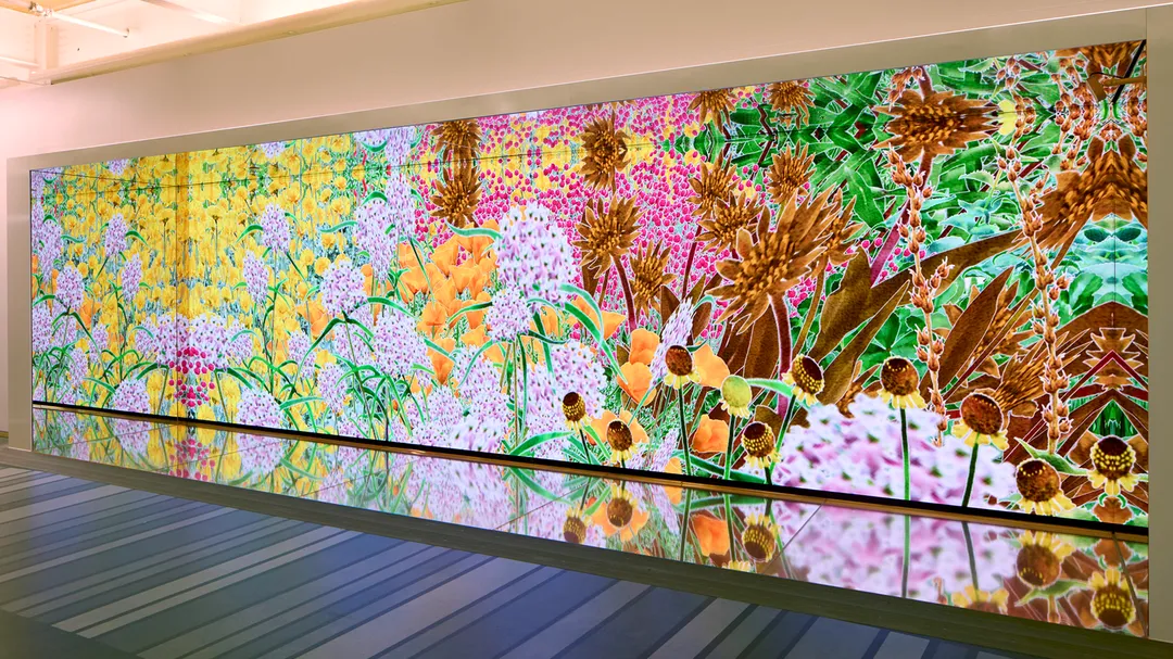 야생화의 반사와 독특한 바닥 패턴