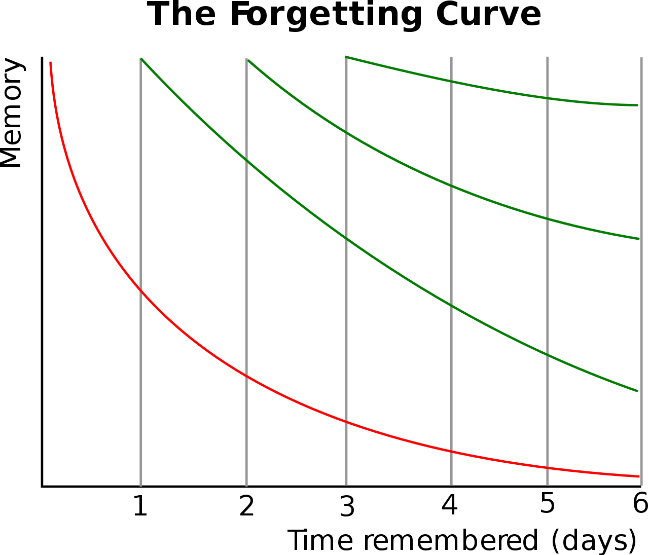 효과적인 기억을 위한 에빙 하우스 망각 곡선 image 1