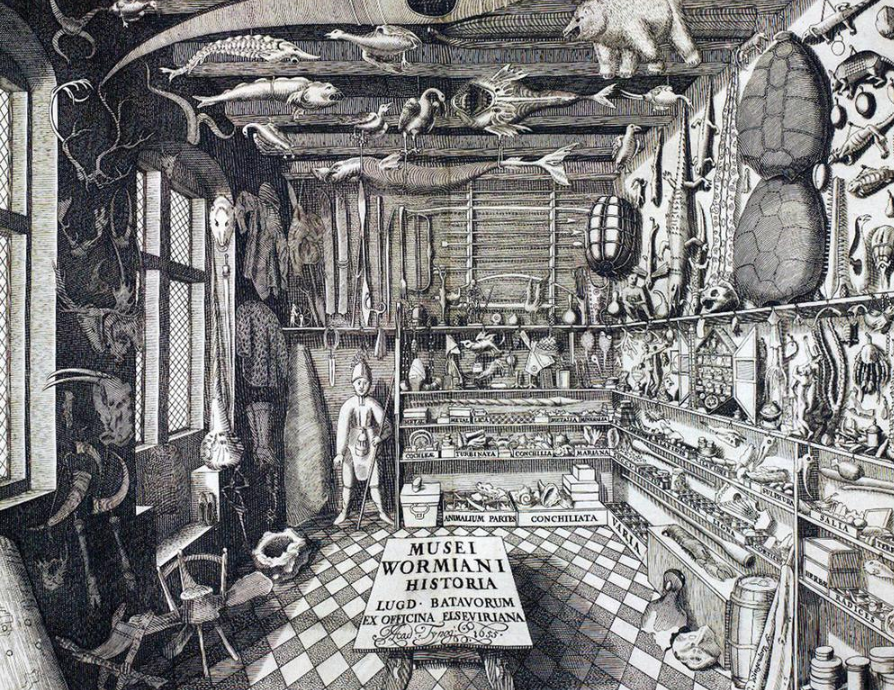 호기심의 방(Cabinet of curiosities)(Wunderkammeren) image 1
