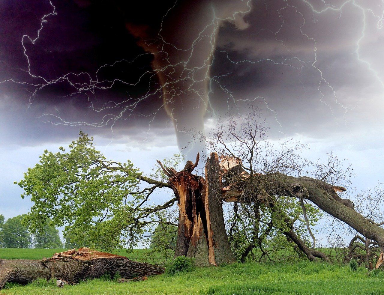 tornado-1193184_1280